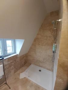 a bathroom with a shower in a attic at Manoir Saint-Eloi in Noyon