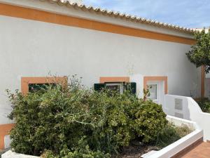 a white house with a bush in front of a building at Casa da Boa Vista in Bordeira