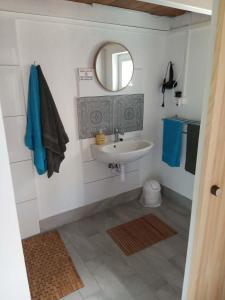 a bathroom with a sink and a mirror at Pehely Vendégház in Lesencetomaj