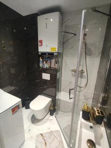 a bathroom with a shower and a toilet and a sink at Apartament Skorochów Jezioro in Skorochow
