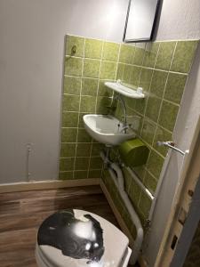 a bathroom with a toilet and a sink at Drei Linden Rosenwall in Wolfenbüttel