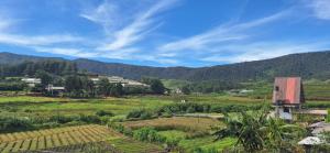 a view of a farm with mountains in the background at Royal Horizon in Nuwara Eliya +24 photos