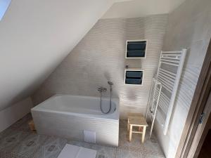 a bathroom with a bath tub in a attic at Apartmán Ve Štítu in Lomnice nad Popelkou