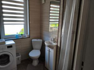 a small bathroom with a toilet and a sink at Apartament Przy Puszczy Białowieskiej in Hajnówka