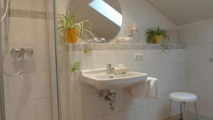a bathroom with a sink and a shower with a mirror at Ferienwohnung Anna in Bad Kohlgrub +25 photos