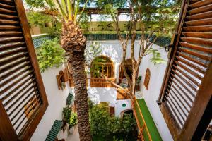 an overhead view of a building with a palm tree at Riad O LY in Marrakesh
