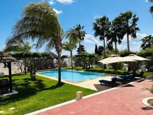 a swimming pool with chairs and umbrellas and palm trees at Villa Oasis Hammamet in Hammamet