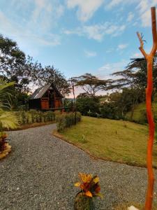 a house in the distance with a tree at Cabañas tipo glamping in Moniquirá