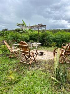a group of chairs sitting in the grass at D's FarmStay in Kajiado