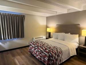 a hotel room with a bed and a window at Red Roof Inn Kokomo in Kokomo