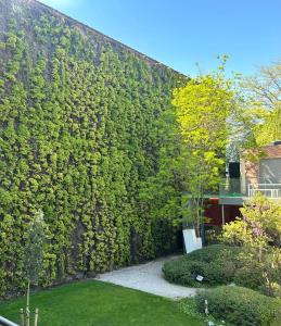 a garden with a green wall at Tronc Verdi in Roeselare