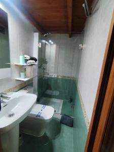 a bathroom with a shower and a sink and a toilet at La Casita in Gijón +19 photos