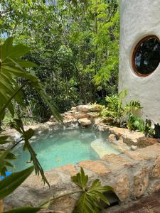 a small pool of water in a yard with trees at Selva Morena in Felipe Carrillo Puerto