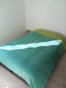 a bed with a green comforter in a room at Rever la Saône in Rigny