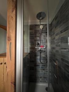 a bathroom with a shower with a glass shower at Zirkuswagen im Gutshof in Lutterberg