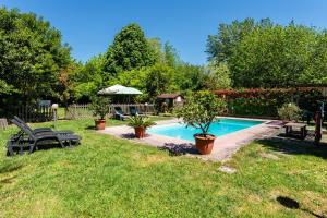 a swimming pool in a yard with chairs and plants at Casa Anita Lucca in Lucca