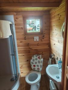 a small bathroom with a toilet and a sink at Domki letniskowe 30m2 in Nowe Warpno