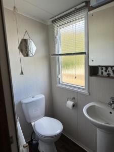 a bathroom with a toilet and a sink at Swift Bordeaux 56 in Dunoon +6 photos