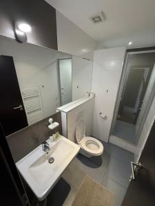 a bathroom with a white toilet and a sink at pension N.10 in Frymburk +57 photos