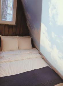 a bed with two pillows in a small room at Brda Hideaway in Głębokie