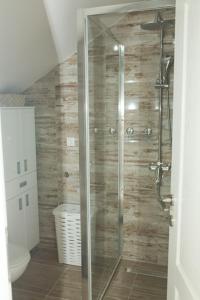 a bathroom with a glass shower with a toilet at Apartmani Romansa in Irig