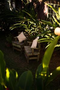 two chairs with pillows in a garden with plants at Villa Bakari in Arraial d'Ajuda