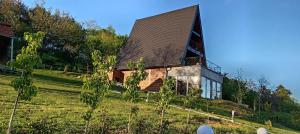 a house on top of a grassy hill at Vikendica Vista in Vrdnik