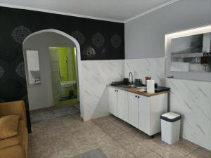 a bathroom with a sink and a bathroom with a shower at Silver Spa Apartment in Bačka Palanka +17 photos