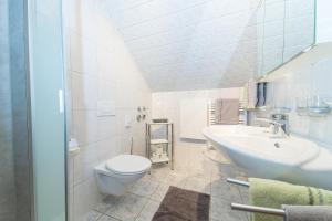 a bathroom with a toilet and a sink at Apparthaus Schuchter in Silbertal +54 photos