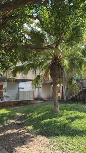 a palm tree in a yard in front of a building at El Descanso APART in Libertador General San Martín