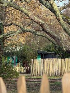 a fence in front of a house next to a tree at Le Chalet du lac in Biscarrosse