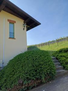 a house with a grassy hill next to a building at Calice dei Cherubini in Montecalvo Versiggia +29 photos
