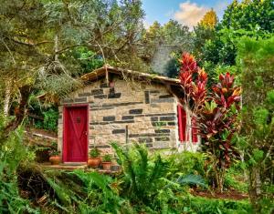 a stone house with a red door in a forest at Chalé Carrara, um Refúgio de Pedra na Mata - Chalés Flor dos Manacás in Santa Teresa