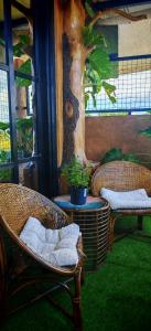 a room with two wicker chairs and a tree at GRG Stays-MatteoS in Santo Domingo