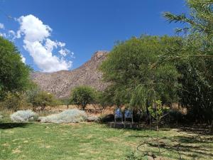 two chairs in a garden with a mountain in the background at El Aromo Cafayate in Cafayate