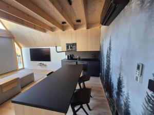a kitchen with a large black table and chairs at Silva Peak House in Zawoja