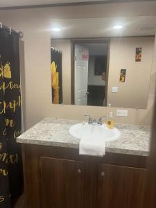a bathroom with a sink and a mirror at The Relaxation Haven 