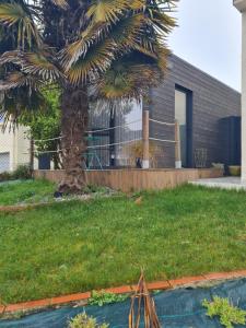a palm tree in a yard next to a house at Guest House in Gévezé