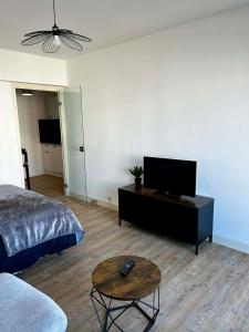 a living room with a bed and a flat screen tv at Appartement carmes in Aurillac