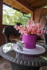 a cup of coffee and a pink vase with flowers on a table at Vikendica Drinska Flora, Loznica - Lipnički Šor in Lipnički Šor