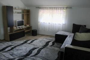 a living room with a bed and a television at Vikendica Drinska Flora, Loznica - Lipnički Šor in Lipnički Šor
