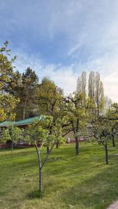 a group of trees in a field with a building at Raduga Resort Orion in Chon-Sary-Oy