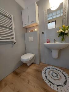 un bagno bianco con WC e lavandino di Reda a Mielno Altre 51 foto