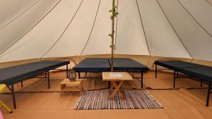 a tent with two benches and a plant in it at The Old Airfield Campsite in Bransgore