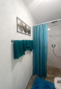 a bathroom with a shower with a blue shower curtain at Apartmani Lea in Bribir +14 photos