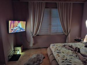 a bedroom with a bed and a flat screen tv at NeNa Apartmani - Ruma #2 in Ruma