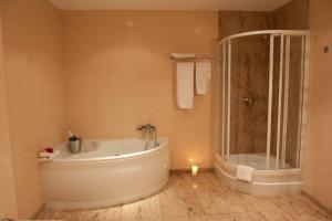Koupelna v ubytování Hotel Amadeus