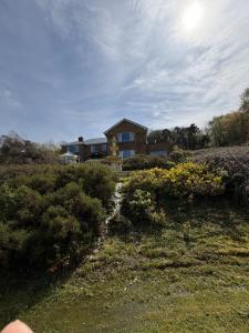 a house on a hill with a yard with bushes at Winterwood in Listowel
