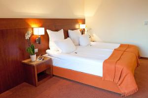 Postel nebo postele na pokoji v ubytování Hotel Amadeus