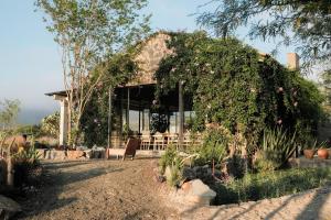 a house with a gazebo covered in flowers at Casa X in San Miguel de Allende
